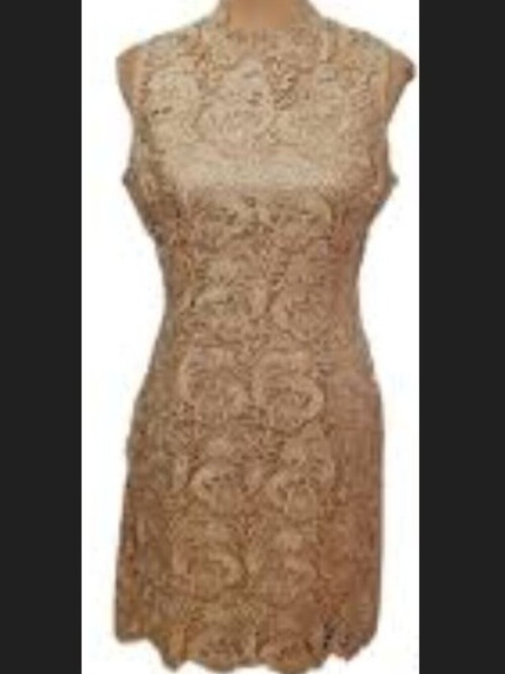 Spiegel NWT Nude Floral Lace Sleeveless Sheath Dress